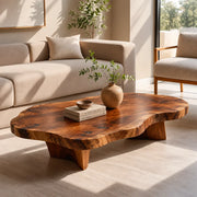 Organic Solid Wood Coffee Table | Freeform Modern Hardwood Coffee Table for Living Room TT006-2987