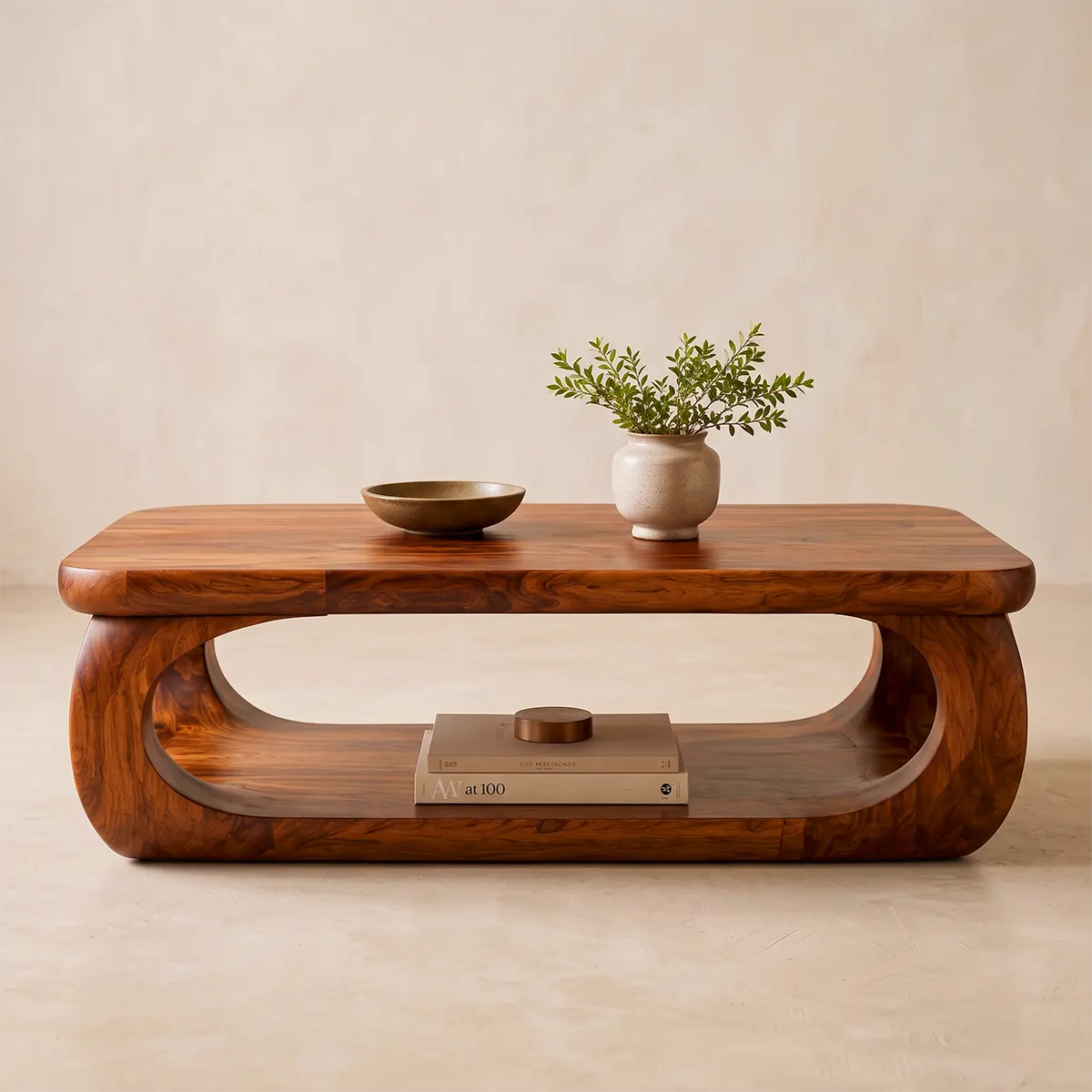 Sculptural Rounded Rectangle Coffee Table with Lower Shelf | Organic Modern Center Table TT006-4PQZ3SX
