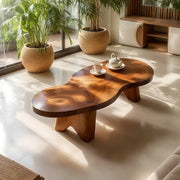 Organic Freeform Solid Wood Coffee Table with Sculptural Legs