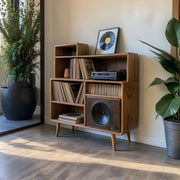 Mid Century Wooden Vinyl Record Storage Cabinet For Living Room