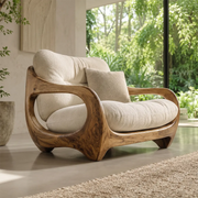 Organic Lounge Chair, Luxury Accent Chair, Modern Wood Frame Armchair TT006-7455