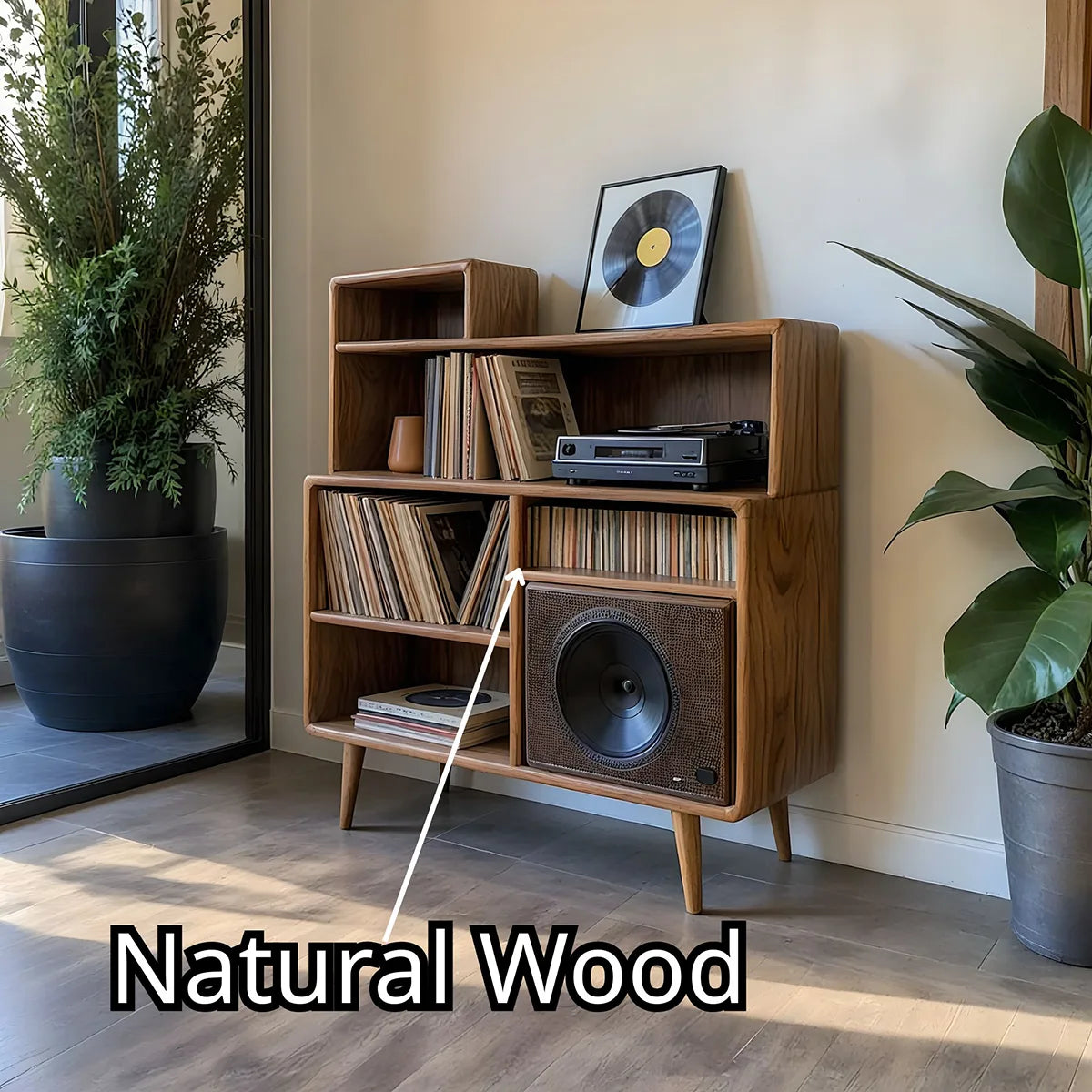 Mid Century Wooden Vinyl Record Storage Cabinet For Living Room