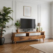 Minimalist TV Stand with Open Shelf and 2 Drawers