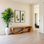Organic Sculptural Solid Wood Bench for Modern Entryway and Contemporary Living Spaces