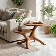Handcrafted Solid Wood 2-Tier End Table – Sculptural Organic Side Table for Living Room TH003-8682